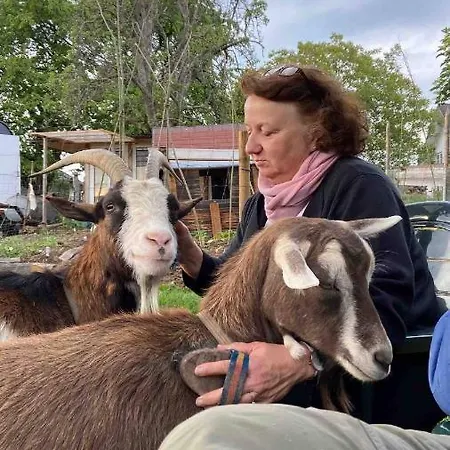 Lejlighed Im Wanderparadies Siebengebirge *