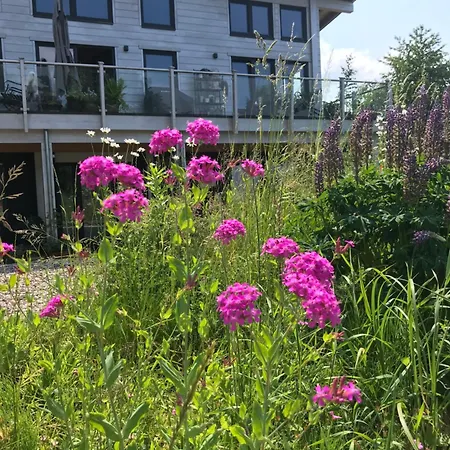 Apartment Im Wanderparadies Siebengebirge