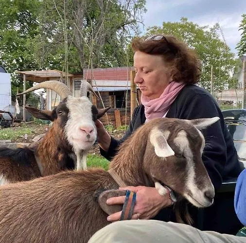 Daire Im Wanderparadies Siebengebirge *