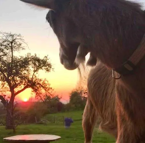 Im Wanderparadies Siebengebirge *