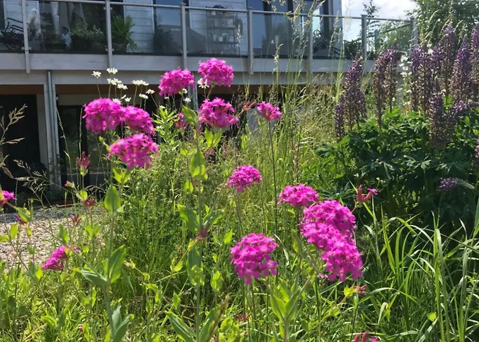 Appartement Im Wanderparadies Siebengebirge